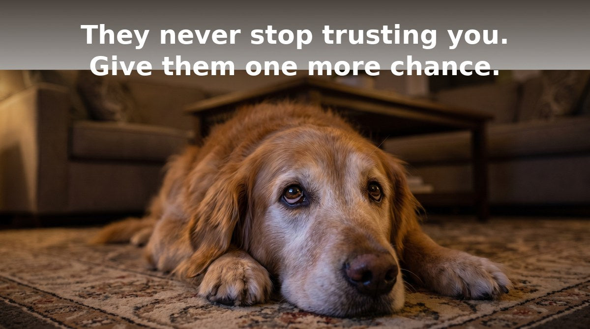 Golden retriever with the quote They never stop trusting you